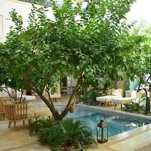 بيت ضيافة Emberiza Sahari, مراكش